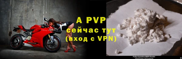 крисы Баксан