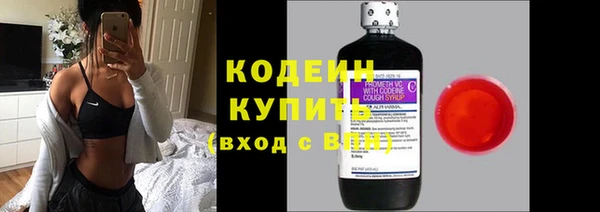 крисы Баксан