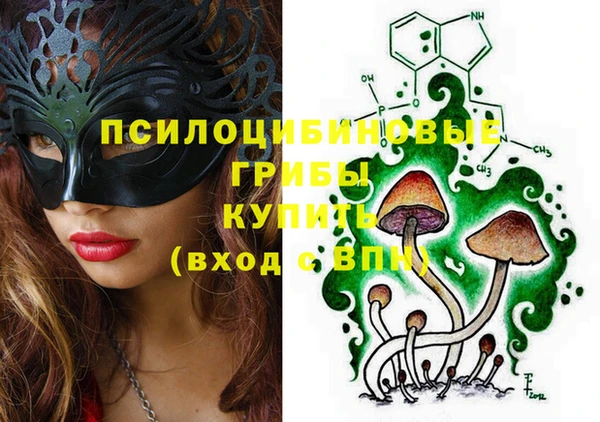 крисы Баксан
