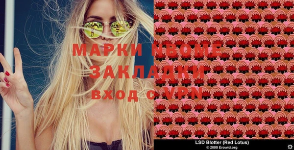 крисы Баксан