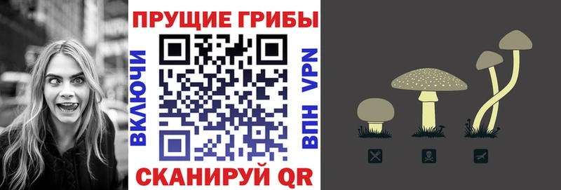 hydra онион  shop как зайти  Галлюциногенные грибы мухоморы  Туран 