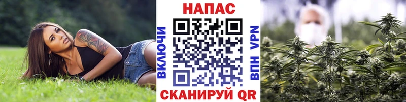 это официальный сайт  Туран  Марихуана планчик 